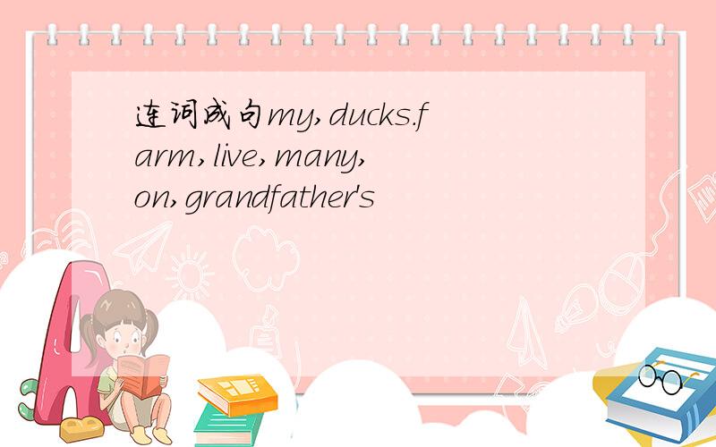 连词成句my,ducks.farm,live,many,on,grandfather's