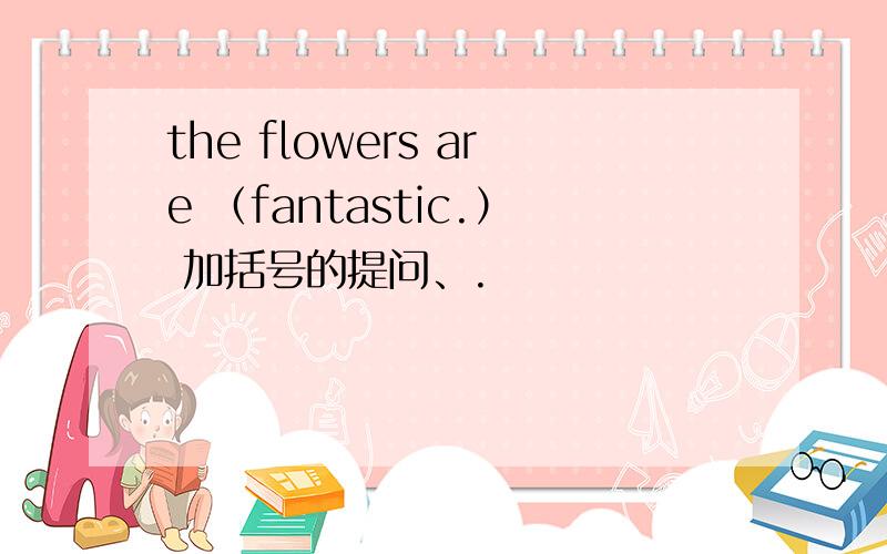 the flowers are （fantastic.） 加括号的提问、.