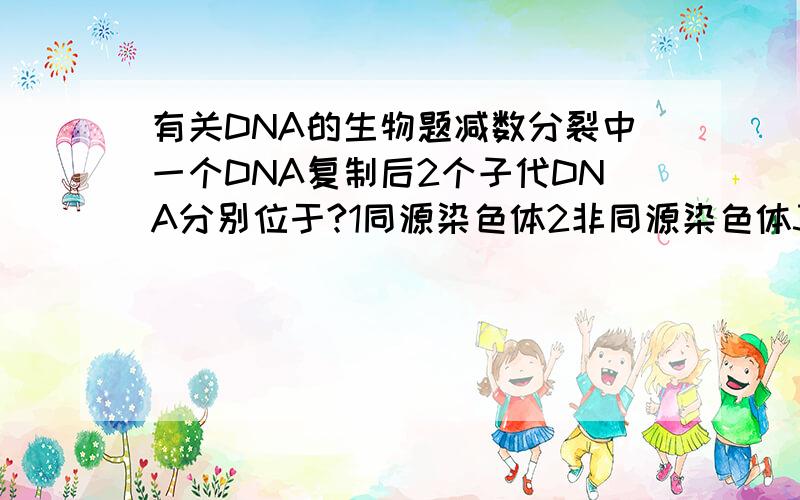 有关DNA的生物题减数分裂中一个DNA复制后2个子代DNA分别位于?1同源染色体2非同源染色体3姐妹染色单体4非姐妹染色单体,为什么