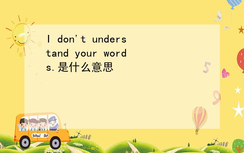 I don't understand your words.是什么意思
