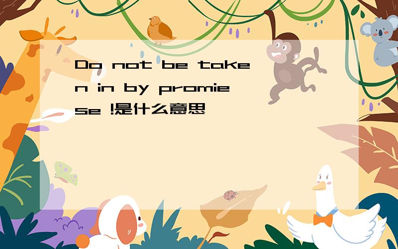 Do not be taken in by promiese !是什么意思