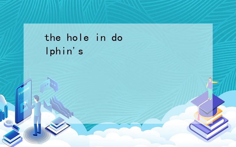 the hole in dolphin's