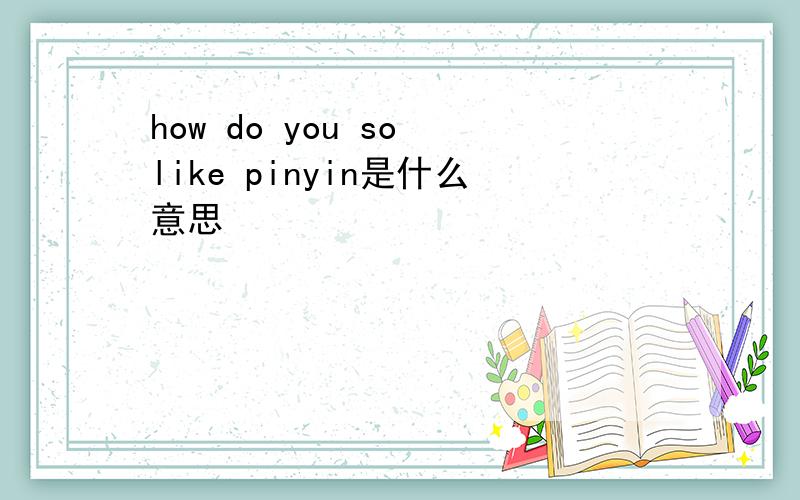 how do you so like pinyin是什么意思