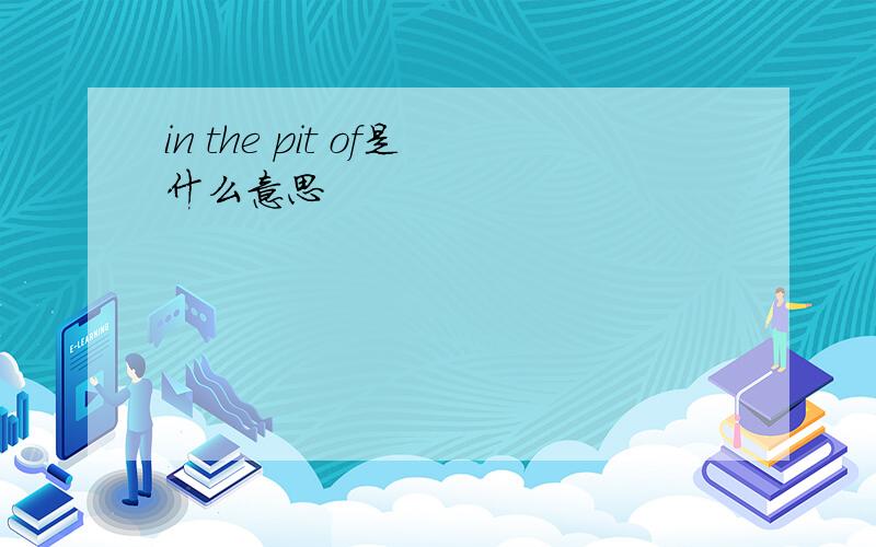 in the pit of是什么意思