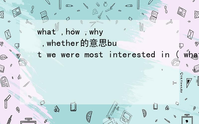 what ,how ,why ,whether的意思but we were most interested in ( what ) they used their computers for .在这个句子,what how why whether,