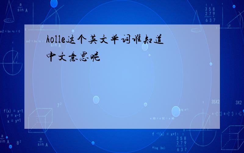holle这个英文单词谁知道中文意思呢