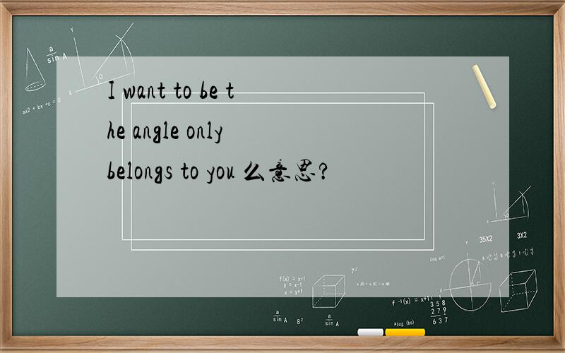 I want to be the angle only belongs to you 么意思?