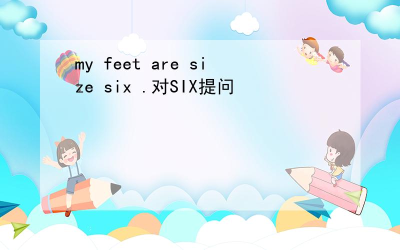 my feet are size six .对SIX提问