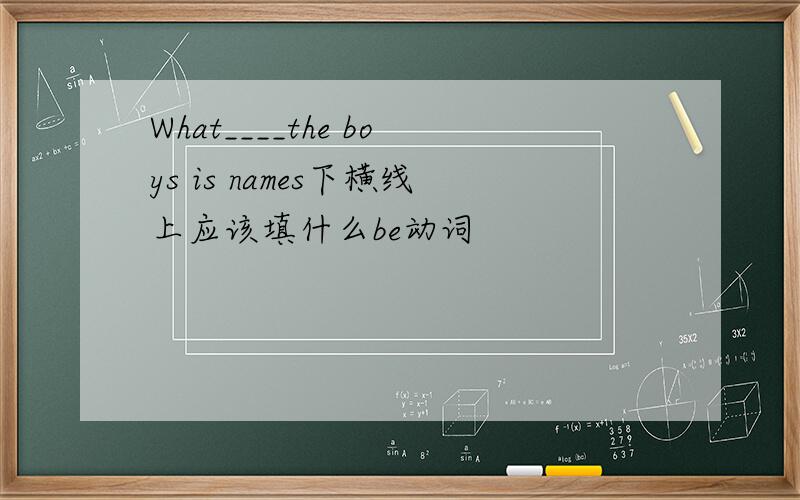 What____the boys is names下横线上应该填什么be动词