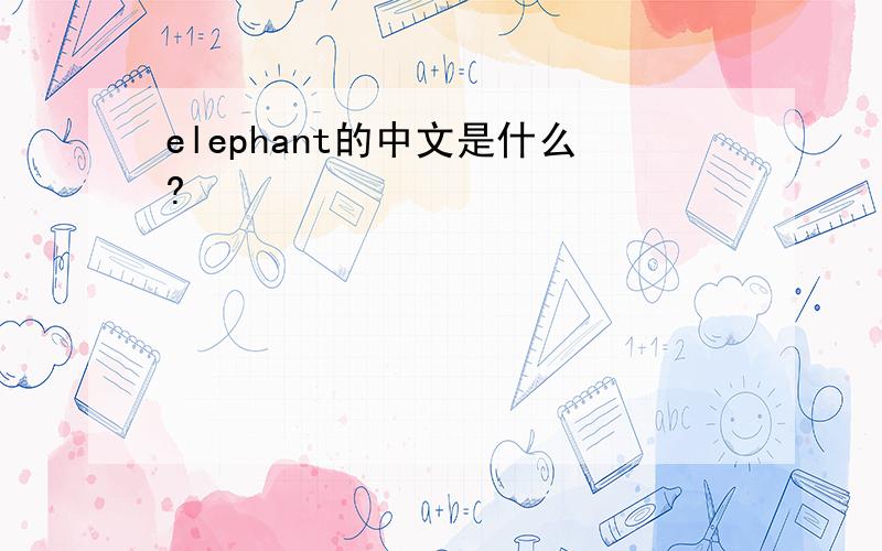 elephant的中文是什么?