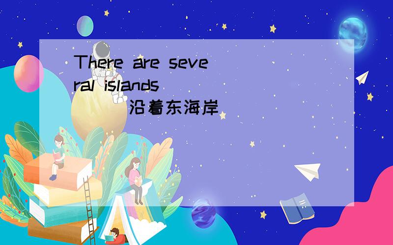 There are several islands_____(沿着东海岸)