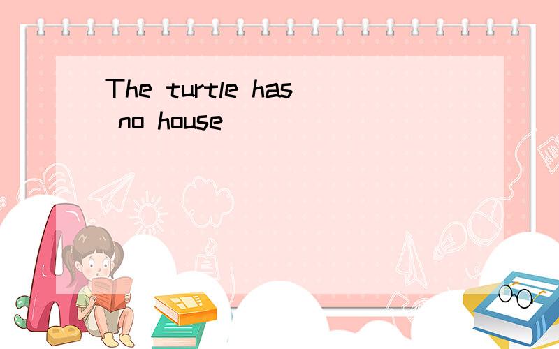 The turtle has no house