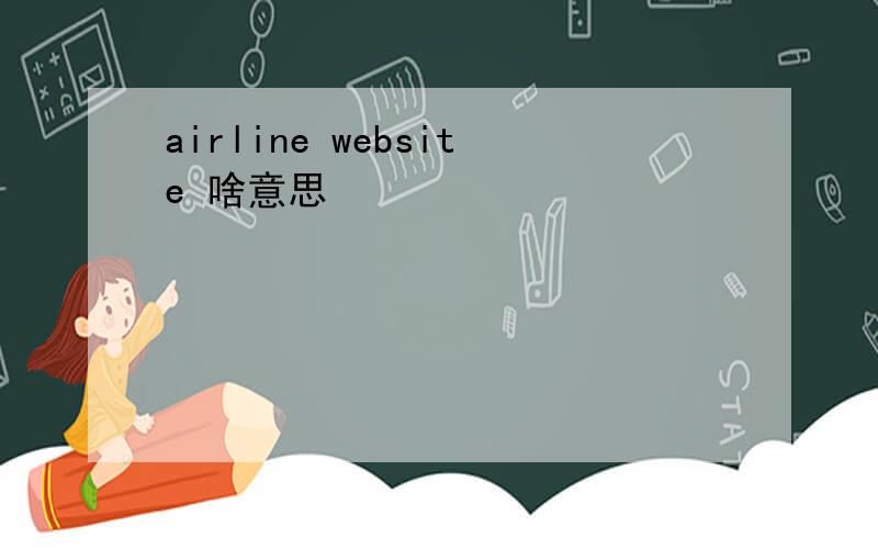airline website 啥意思