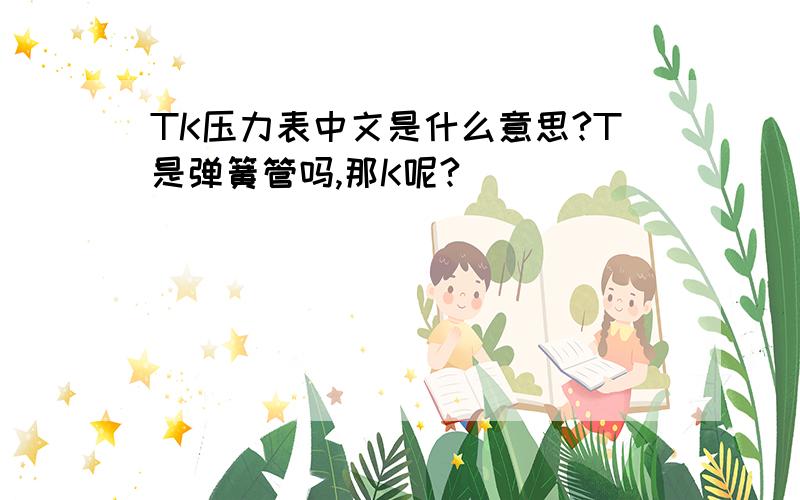 TK压力表中文是什么意思?T是弹簧管吗,那K呢?