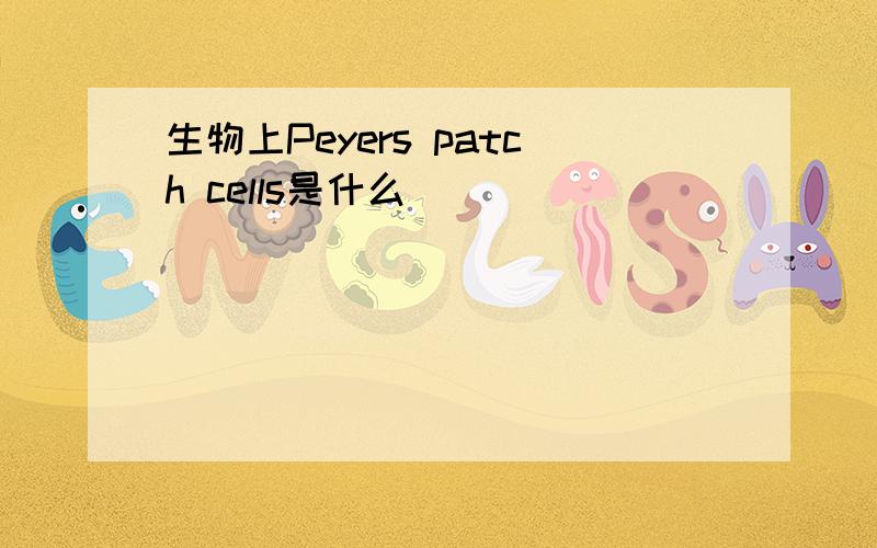 生物上Peyers patch cells是什么