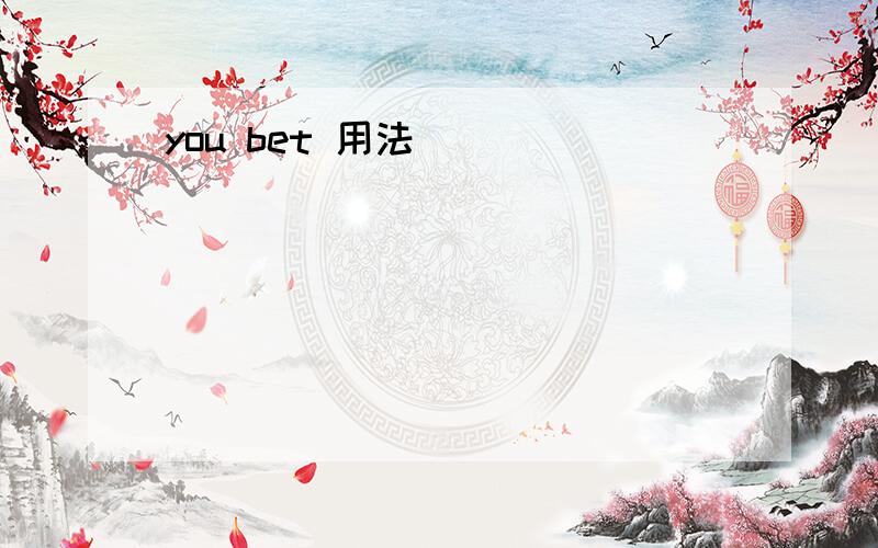 you bet 用法