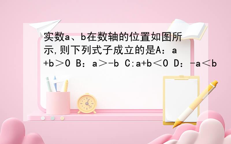 实数a、b在数轴的位置如图所示,则下列式子成立的是A：a+b＞0 B：a＞-b C:a+b＜0 D：-a＜b