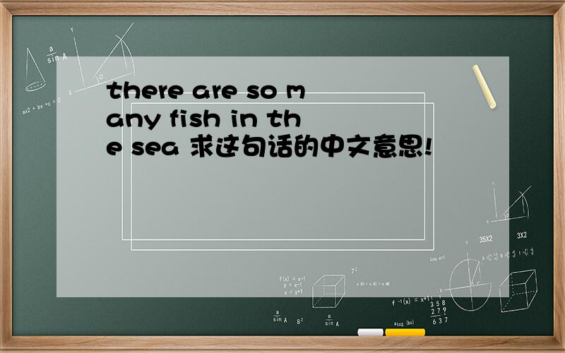 there are so many fish in the sea 求这句话的中文意思!