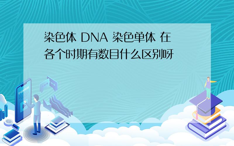 染色体 DNA 染色单体 在各个时期有数目什么区别呀