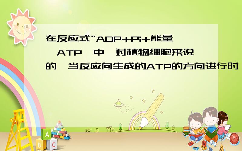 在反应式“ADP+Pi+能量→ATP