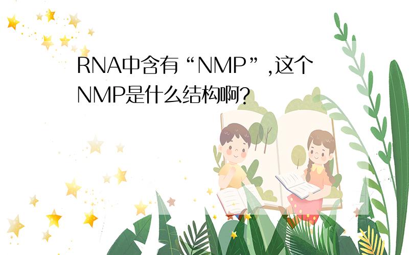 RNA中含有“NMP”,这个NMP是什么结构啊?