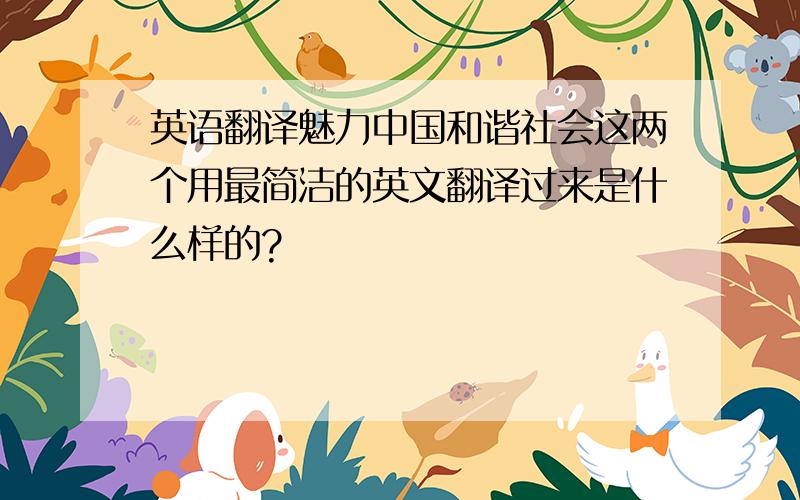 英语翻译魅力中国和谐社会这两个用最简洁的英文翻译过来是什么样的?