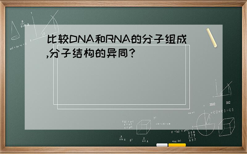 比较DNA和RNA的分子组成,分子结构的异同?