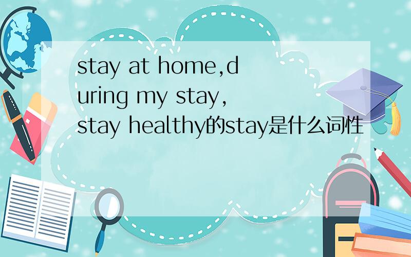 stay at home,during my stay,stay healthy的stay是什么词性