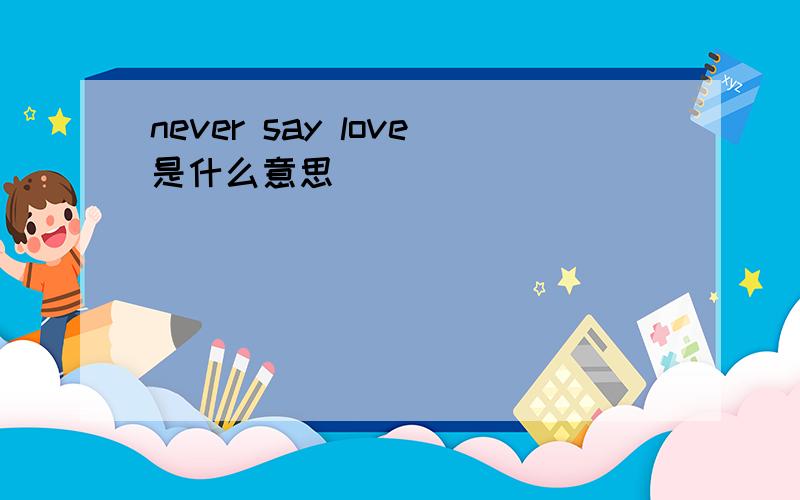 never say love是什么意思