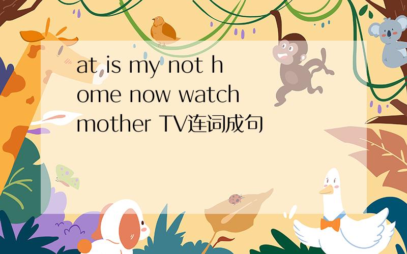 at is my not home now watch mother TV连词成句