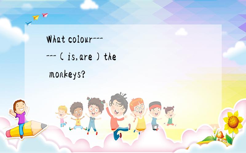 What colour------(is,are)the monkeys?