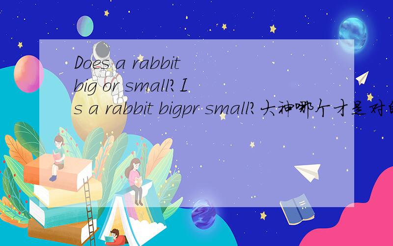 Does a rabbit big or small?Is a rabbit bigpr small?大神哪个才是对的?一般情况下我的习惯是,有人回答问题了才会追加分数哦