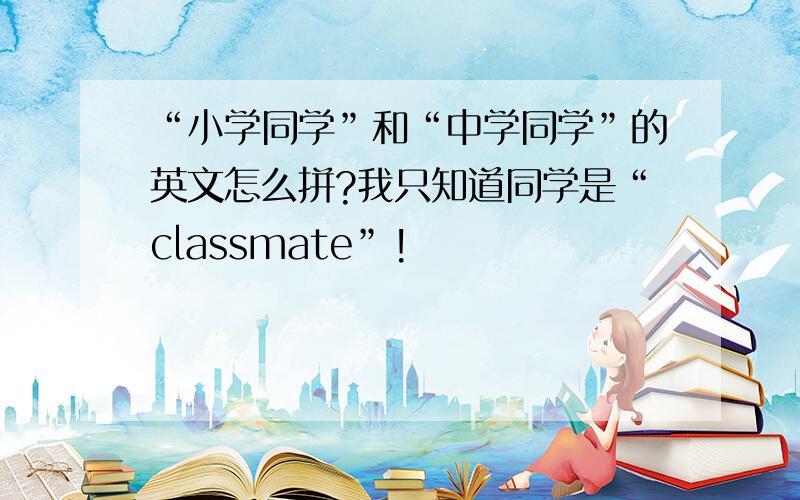 “小学同学”和“中学同学”的英文怎么拼?我只知道同学是“classmate”!