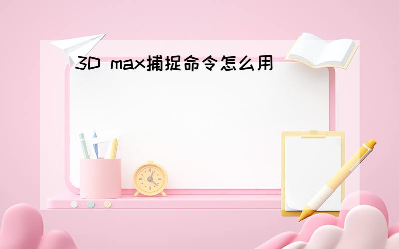 3D max捕捉命令怎么用