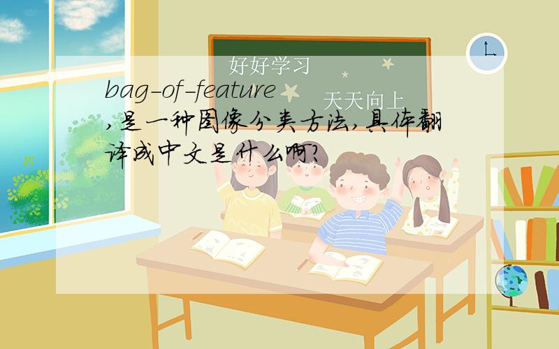 bag-of-feature,是一种图像分类方法,具体翻译成中文是什么啊?