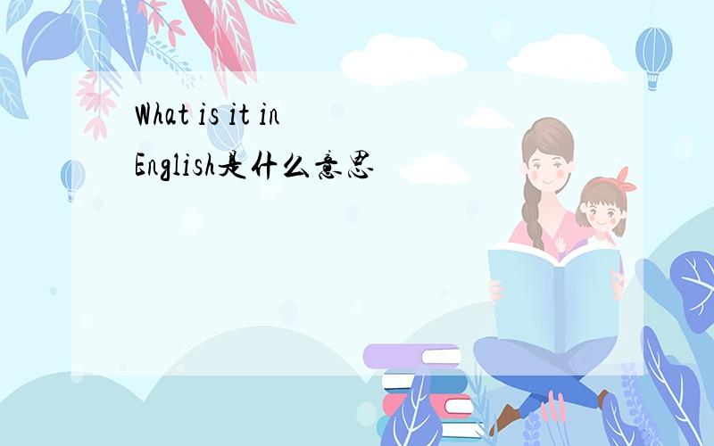 What is it in English是什么意思