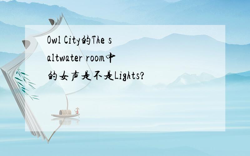 Owl City的The saltwater room中的女声是不是Lights?