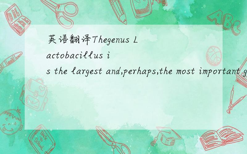 英语翻译Thegenus Lactobacillus is the largest and,perhaps,the most important genus oflacticacid bacteria,representatives of which play a significant role in the humanandanimalgastrointestinal tract.Moreover,lactobacilli represent one of the major