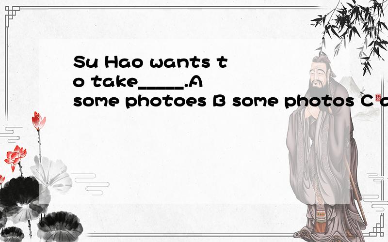 Su Hao wants to take_____.A some photoes B some photos C any photos