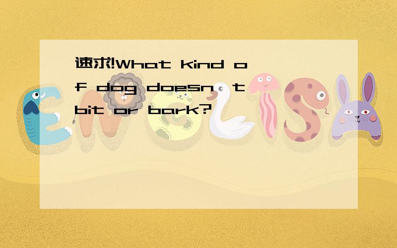 速求!What kind of dog doesn't bit or bark?