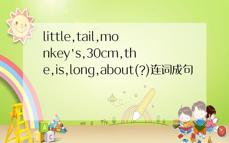 little,tail,monkey's,30cm,the,is,long,about(?)连词成句