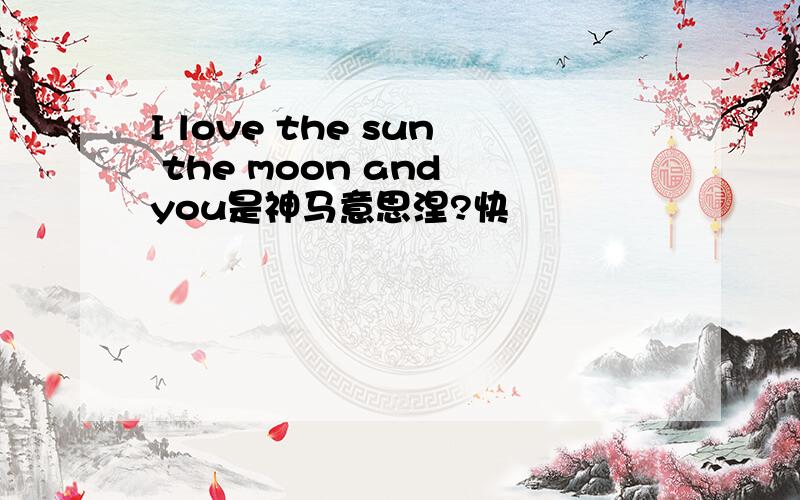 I love the sun the moon and you是神马意思涅?快