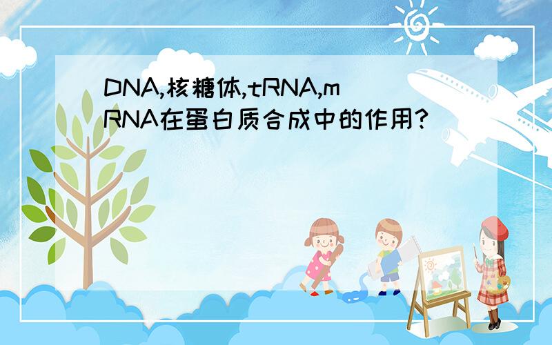 DNA,核糖体,tRNA,mRNA在蛋白质合成中的作用?