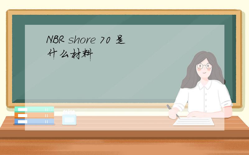 NBR shore 70 是什么材料