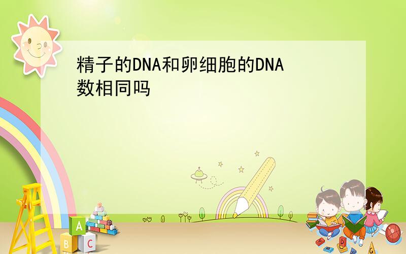 精子的DNA和卵细胞的DNA数相同吗