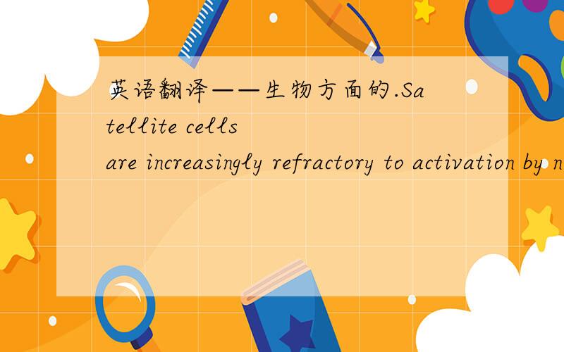 英语翻译——生物方面的.Satellite cells are increasingly refractory to activation by nitric oxide and stretch in aged mouse-muscle cultures