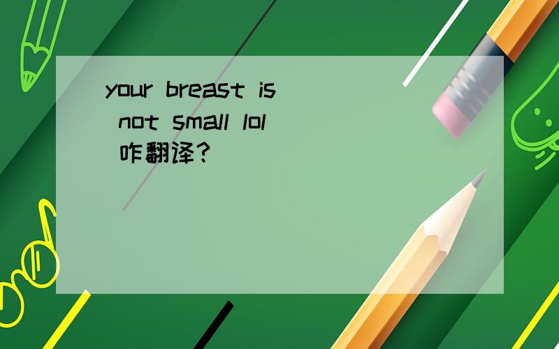 your breast is not small lol 咋翻译?