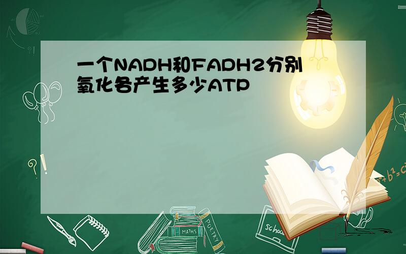 一个NADH和FADH2分别氧化各产生多少ATP
