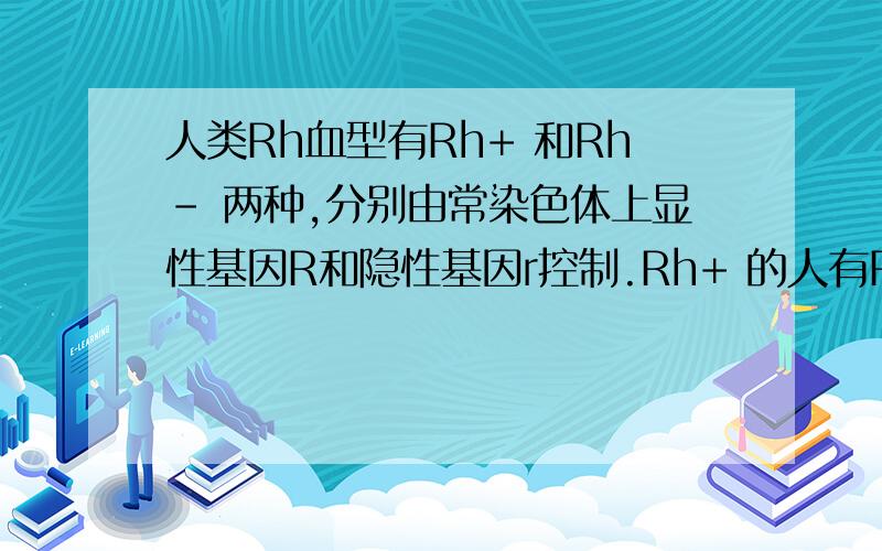 人类Rh血型有Rh+ 和Rh- 两种,分别由常染色体上显性基因R和隐性基因r控制.Rh+ 的人有Rh抗原,Rh- 的人无Rh抗原.若Rh+胎儿的Rh抗原进入Rh- 母亲体内且使母体产生Rh抗体,随后抗体进入胎儿体内则引起