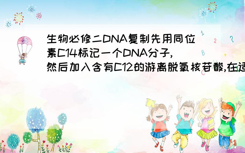 生物必修二DNA复制先用同位素C14标记一个DNA分子,然后加入含有C12的游离脱氧核苷酸,在适宜的条件下经过n次复制后,所得DNA分子中含有C12的脱氧核苷酸链数与含C14的脱氧核苷酸链数之比是 A.2n: